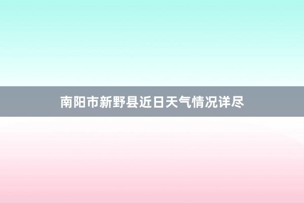 南阳市新野县近日天气情况详尽