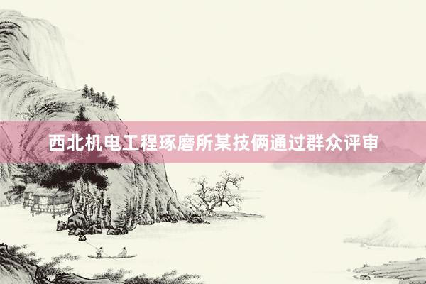 西北机电工程琢磨所某技俩通过群众评审