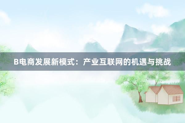 B电商发展新模式：产业互联网的机遇与挑战