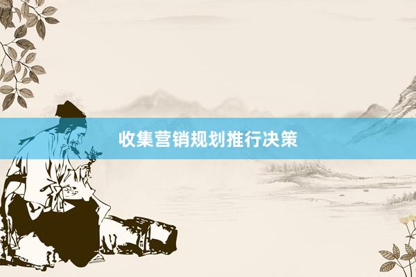 收集营销规划推行决策